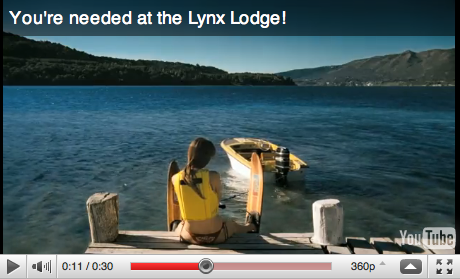 The Lynx Lodge